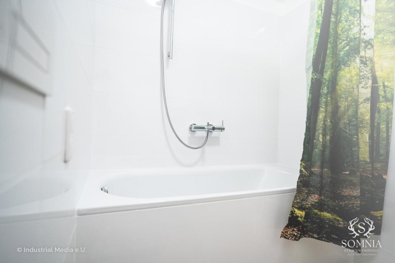 Ferienwohnung Somnia - Altstadt グムンデン エクステリア 写真
