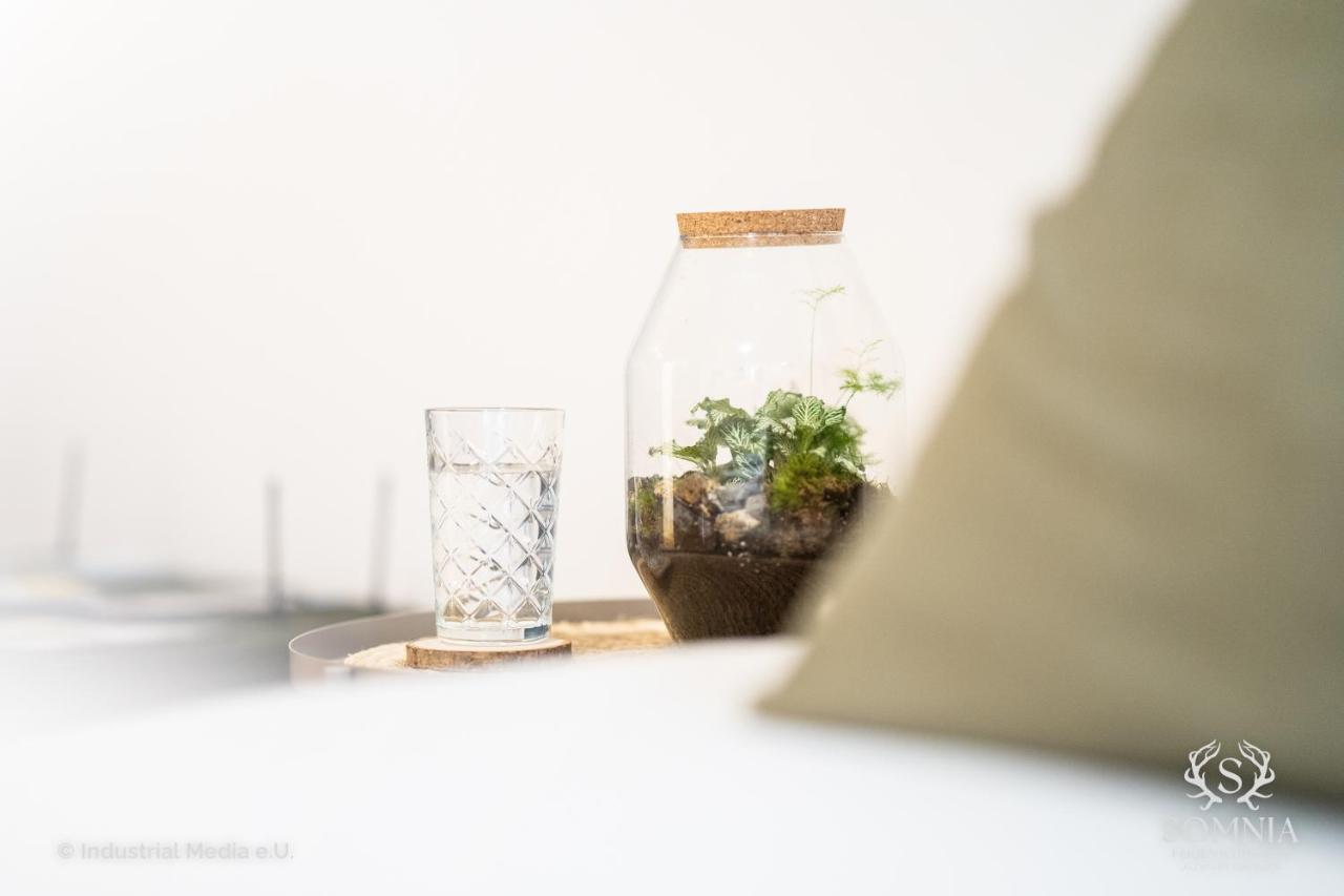 Ferienwohnung Somnia - Altstadt グムンデン エクステリア 写真